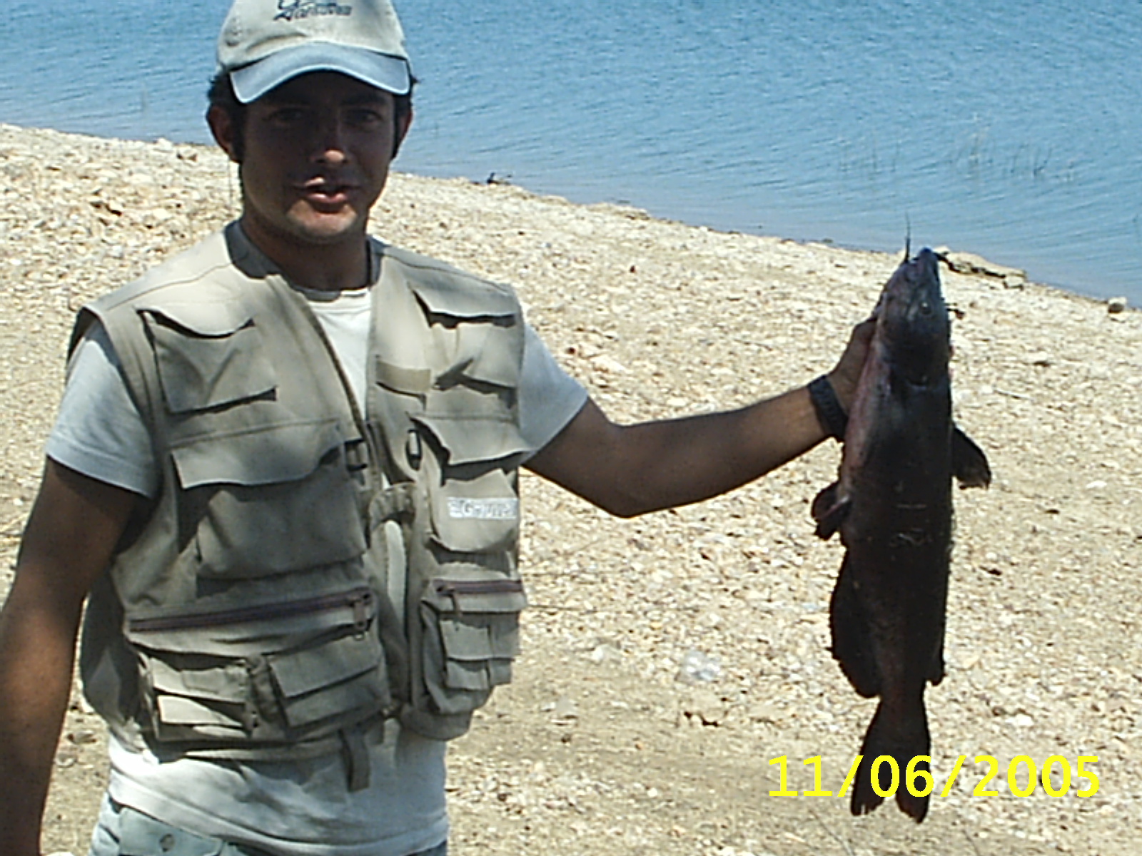 Pez gato cogido a lance en La Serena